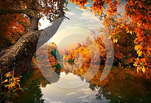 Orange autumn on river