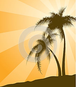 Orange background with palm trees