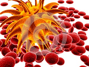 Orange bacteria and red cells