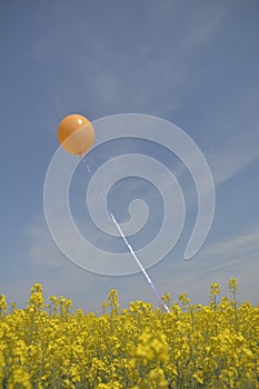 Orange balloon