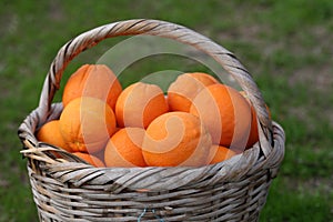 Orange basket