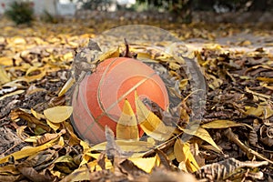 Orange basketball on dried leaves.