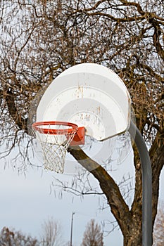 Orange basketball hoop with net outdoors with leafless tree