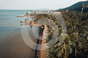 Orange beach and coconut trees in the evening