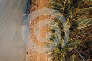 Orange beach and coconut trees in the evening