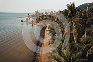 Orange beach and coconut trees in the evening