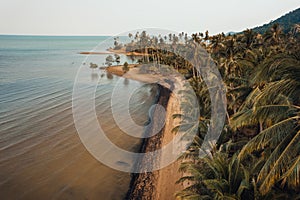 Orange beach and coconut trees in the evening