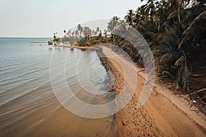 Orange beach and coconut trees in the evening