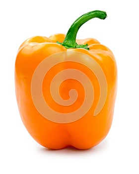 Orange bell pepper (paprika) photo