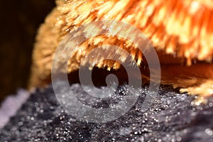 Orange and Black floor matts