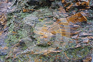 Orange and black stone covered with lichen