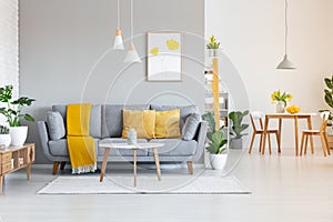 Orange blanket on grey sofa in modern apartment interior with po