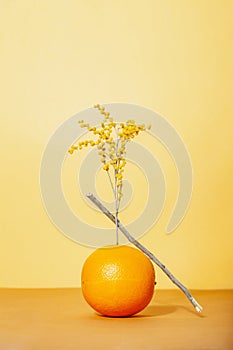 Orange with blooming plant against yellow background