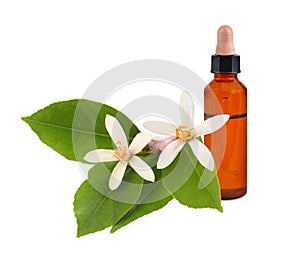 Orange blossom flowers with essential oil bottle photo