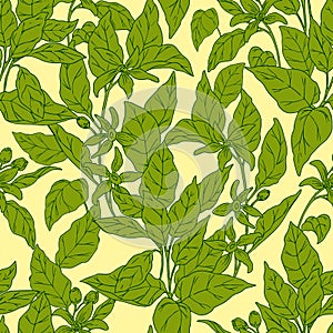 Orange blossom tree pattern