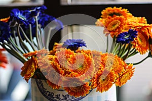 Orange and blue gerbera flowers grouped together