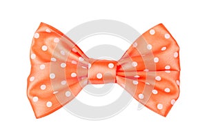 orange bow tie with white polka dot isolated white background