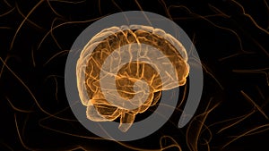 Orange Brain. Abstract digital human brain. Neural network. IQ testing, artificial intelligence virtual emulation science