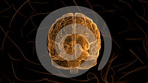 Orange Brain. Abstract digital human brain. Neural network. IQ testing, artificial intelligence virtual emulation science