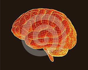 Orange brain illustraion isolated on black BG