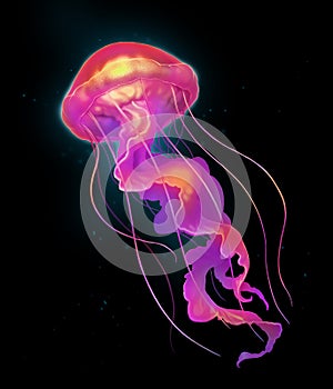 Orange and bright Jellyfish deep sea poisonous illustration realism isolate.