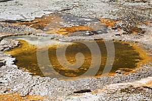 Orange and brown, circular hot spring with limestone rim, Yellowstone.