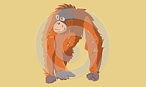 Orange brown cute orangutan art