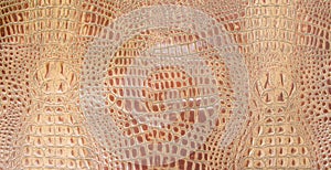 Orange Brown Embossed Gator Leather Texture