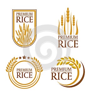 Orange brown paddy premium rice natural product banner and logo art vector design