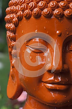 Orange Buddha Head