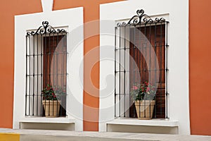 Orange building with wooden windows and potted plants on windowsills outdoors photo
