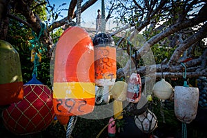 Orange Buoy Hangs Among Others in Tree