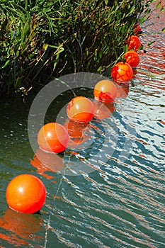 Orange buoys