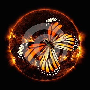 orange butterfly flying in space against the sun. Elements of this image furnished by NASA