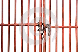 Orange Cage door with chain and lock isolate on white background