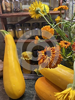 Orange calendula flower on a background of yellow zucchini and jars of spices.
