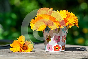 Orange calendula flowers in a small bucket in the garden on wooden background