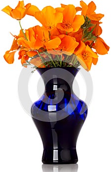 Orange California Poppy's In Blue Vase