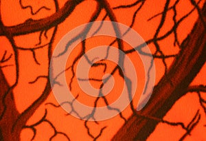 Orange Camouflage Background