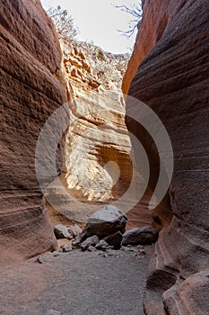 Orange canyon, Barranco de las Vacas, Gran Canaria, Canary Islands, Spain