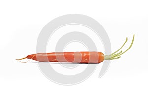 Orange carrot