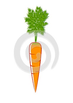 Orange carrot