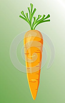 Orange carrot