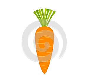 Orange carrot vegetable icon on white background