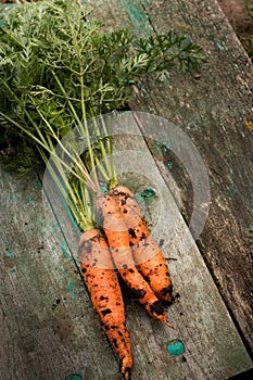 Orange carrot on a wooden background