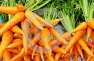 Orange Carrots photo