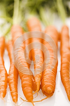 Orange carrots.