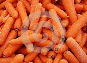 Orange carrots