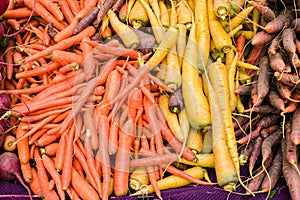 Orange carrots at the market