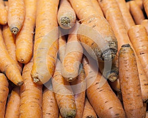 Orange carrots in a supermarket